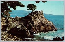 Lone Cypress Midway Point Pebble Beach California Monterey Peninsula Postcard picture
