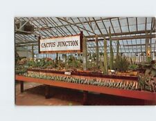 Postcard Cactus Junction Home of Lexington Gardens Lexington Massachusetts USA picture