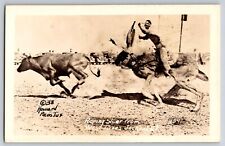 Postcard Humor Roping Steer from a West Texas Jackrabbit   E 14 picture