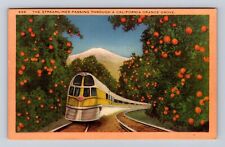 CA-California, Streamliner Passing Through Orange Grove, Vintage Postcard picture