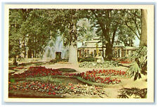 c1950's Petrodvorets Monplaisir Palace St Petersburg Russia Postcard picture