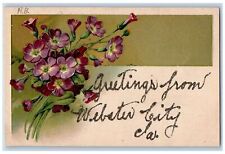 c1920's Greetings From Webster City Glitters Flower Iowa Correspondence Postcard picture