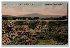 1910 Mt Prospect Corn Field Plymouth New Hampshire Vintage Hand-Colored Postcard picture