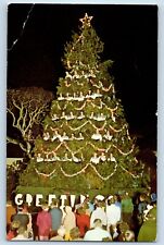 Pacific Grove California Postcard Singing Christmas Tree Night Scene 1960 picture
