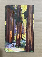 Southern Pacific Lines Redwood Empire Tour Vintage Postcard picture
