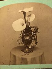 Antique 1870s Calla Lily Vase Still Life French & Sawyer Stereoview picture
