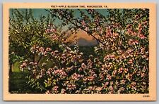 Apple Blossom Time Winchester VA Virginia Linen Postcard UNP VTG Unused Vintage picture