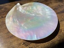 Vintage Real Genuine MOP Mother Of Pearl Sea Shell Footed Dish Shell Tray picture