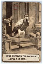 c1910's Anthropomorphic Bird Birth Announcement Embossed E. W. Justin Postcard picture