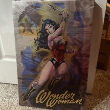 Wonder Woman 16 X 24 Canvas Wall Memorabilia Collectible Picture  picture