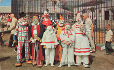 Group of Creepy Happy Clowns in Florida, Vintage Postcard picture