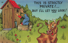 Postcard Humor This Is Stictly Private Man Looking In Outhouse posted 1948 Linen picture