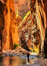 Zion Canyon Postcard & The Narrows -  3D Lenticular picture
