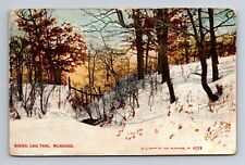 Winter Scene Lake Park Milwaukee Wisconsin Postcard c1912 picture