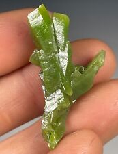 SUPERB LUSTROUS GREEN PYROMORPHITE CRYSTALS: DAOPING MINE, CHINA- CLASSIC picture