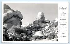 REPTILE MOUNTAIN, Alvord Park AZ ~ TEXAS CANYON Arizona c1940s Frasher Postcard picture