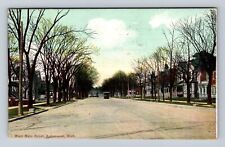 Kalamazoo MI-Michigan, Residential Area, West Main Street, Vintage Postcard picture