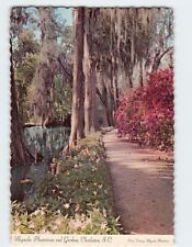 Postcard Magnolia Plantations and Gardens, Charleston, South Carolina picture