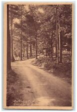 1912 Winding Road Pathway Center Lovell Maine ME Vintage Antique Posted Postcard picture