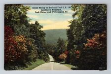 Lock Haven PA-Pennsylvania, Beauty On Bucktail Trail, Antique, Vintage Postcard picture
