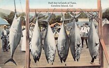 Santa Catalina Island Los Angeles County CA Tuna Salt Water Fishing Postcard D1 picture