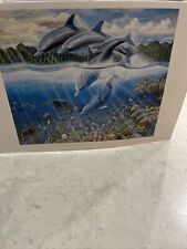 Postcard Kauai’s Napali Coast Hawaii  Robert Lyn Nelson  Dolphin Vintage Unused picture