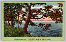 c1950s Greetings Clarksburg Maryland Lake Coastline Pond Vintage Postcard picture