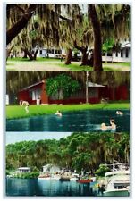 c1960 Camp Mack Hatchineha Kissimmee River Lake Wales Florida Multiview Postcard picture