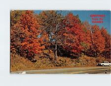 Postcard Flaming Fall Review Greetings from the Ozarks USA picture