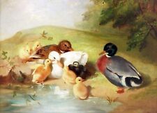Art Oil painting John-Frederick-Herring-Ii-Ducks-and-Ducklings landscape picture