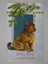c1910 Winsch? Embossed Textured Merry Christmas Postcard Dog Unposted Germany picture