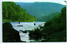 Tannersville NY Fly Fishing Catskills 1960s Vintage Postcard E89 picture