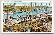 c1920s Sponge Fleet Boats Workers Vintage Tarpon Springs Florida FL Postcard picture