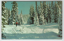 Postcard Skier on Beautiful Snow Covered Mountain picture