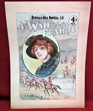 1978 Buffalo Bill Dime Novels Full Color Poster-The Waif of the Prairie picture