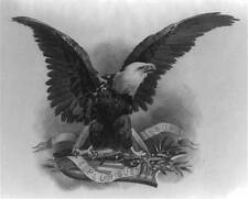 Photo:U.S. Department of Interior emblems and seals showing eagle 5 picture
