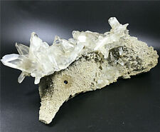5.6LB Natural White phantom Clear Quartz Crystal Cluster Point Carved Hedgehog picture