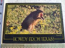 Postcard Armadillo Howdy from Texas USA picture