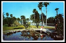 Lily Pond Postcard Scene in Southern Park Palm Trees Posted 1957  pc225 picture