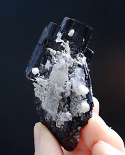 113g Natural Rare Wolframite CRYSTAL Fluorite Mineral Specimen/YaogangxianChina picture