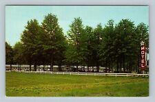 Greenup IL, 5 Star Motel Surrounded By Pine Trees  Illinois Vintage Postcard picture
