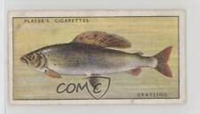 1933 Player's Fresh-Water Fishes Tobacco Pink Back Grayling #20 7ut picture