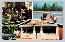 Interlochen MI-Michigan, Wesclare Mink Ranch, Antique Vintage Souvenir Postcard picture