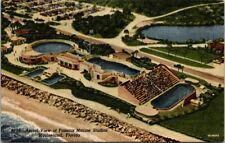 Marineland Florida Aerial View Marine Studios A1A HWY Atlantic Vintage Postcard picture