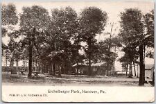 Eichelberger Park Hanover Pennsylvania PA Park Trees Houses Postcard picture