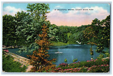 c1940's In Beautiful Brown County State Park Nashville IN Unposted Postcard picture