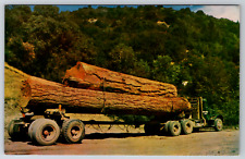 c1960s Logging Truck Loaded Up 18 Wheeler Huge Vintage Postcard picture