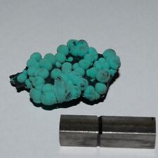 Chrysocolla - Planet Mine - Thumbnail Specimen. 3.3cm PM-01 picture