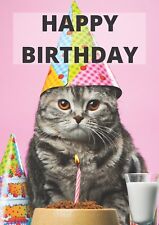 Happy Birthday Cat Greeting Card, Cute, Grey Grumpy Cat BNIB picture