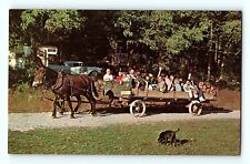 Packed Wagon Ride Horse Spring Gulch Camp Grounds New Holland Penna Postcard E7 picture
